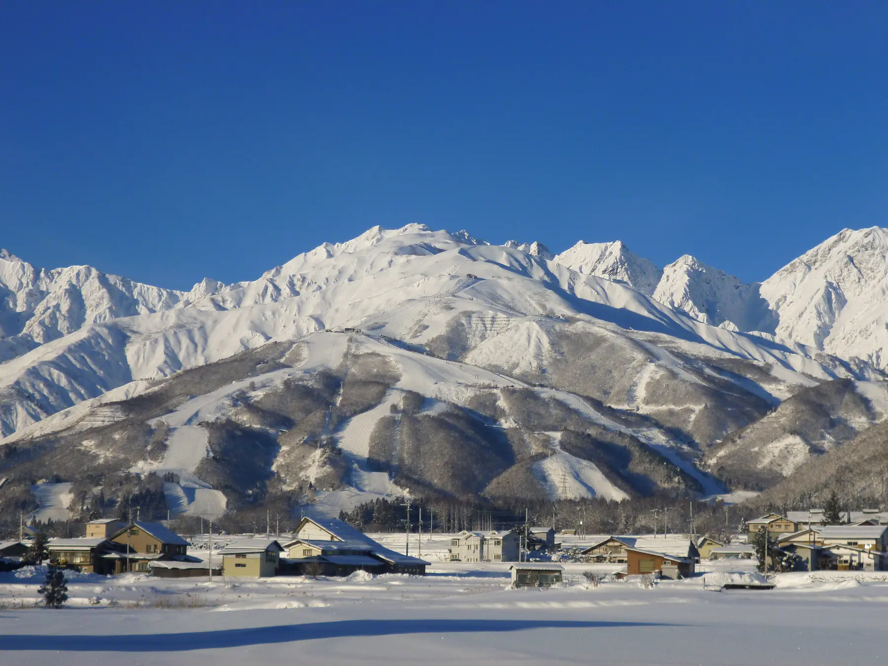 青空の下に広がる白馬八方尾根の雪山
